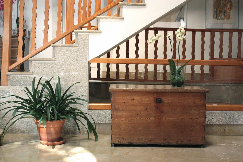 Es Baulo Petit - Afbeelding 3