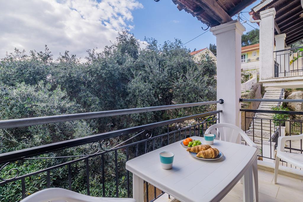 Sunflower - Afbeelding 4