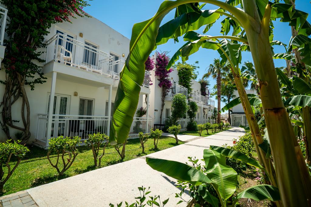 Petunya Beach - Afbeelding 4