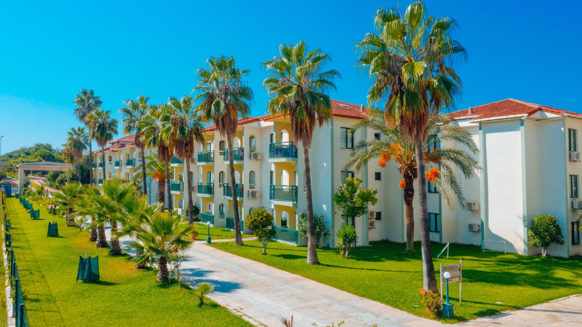 Sural Garden - Afbeelding 4