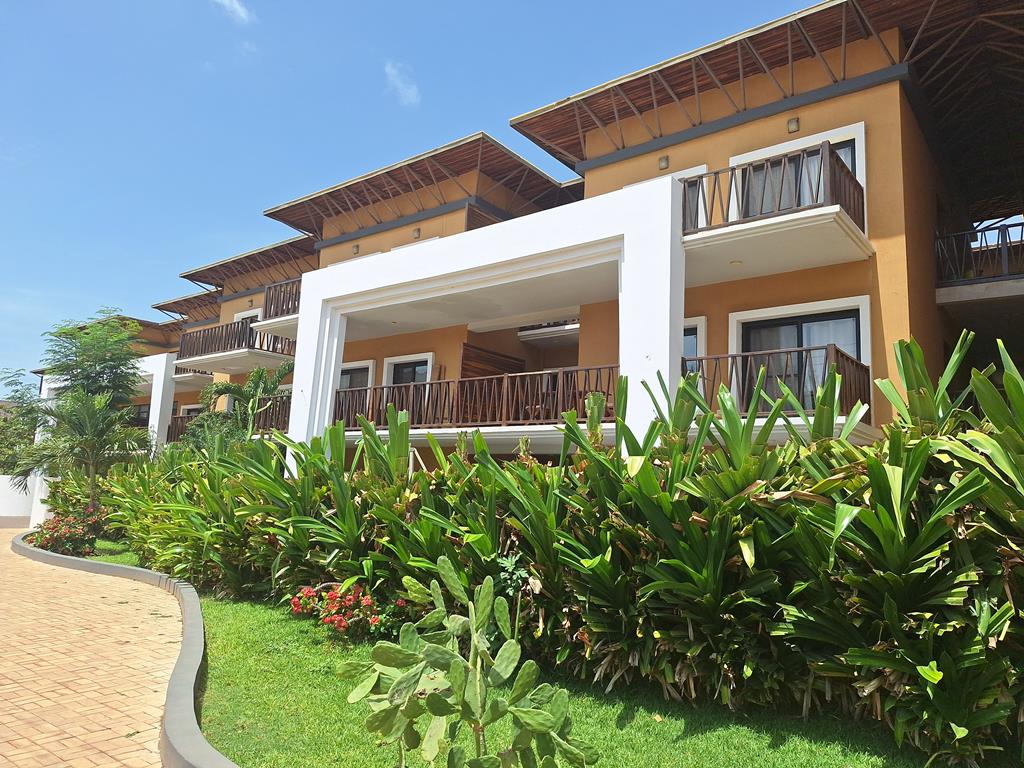 Forest View - Afbeelding 3