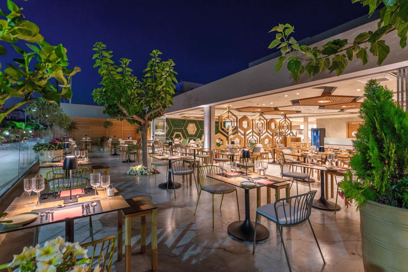 Cactus Mare - Afbeelding 2