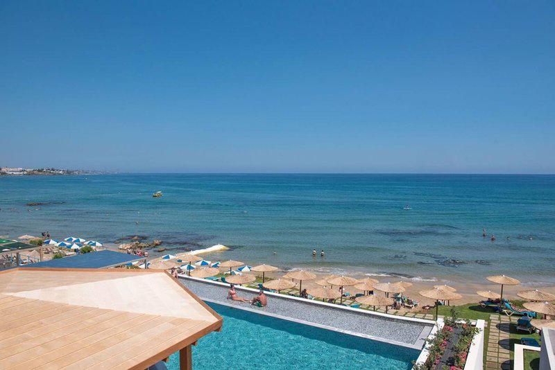 Cactus Mare - Afbeelding 4