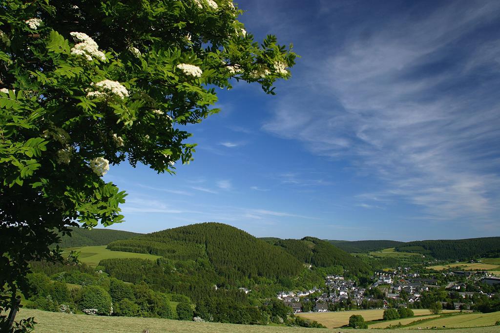 Waldhotel Willingen - Afbeelding 2