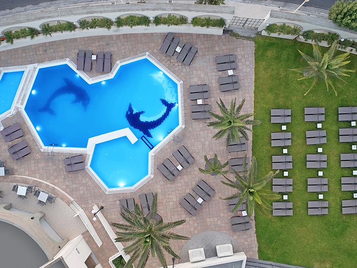 Cactus - Afbeelding 4