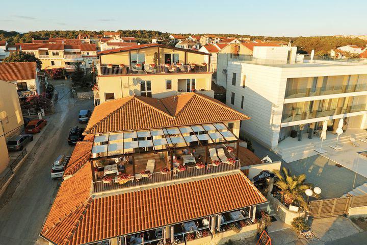 Delfin - Afbeelding 4