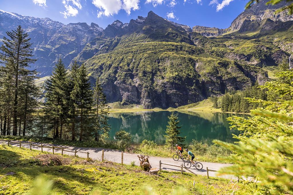 Das Wildkogel - Afbeelding 4