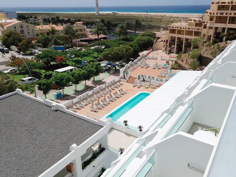 Lemon en Soul Cactus Garden - Afbeelding 4