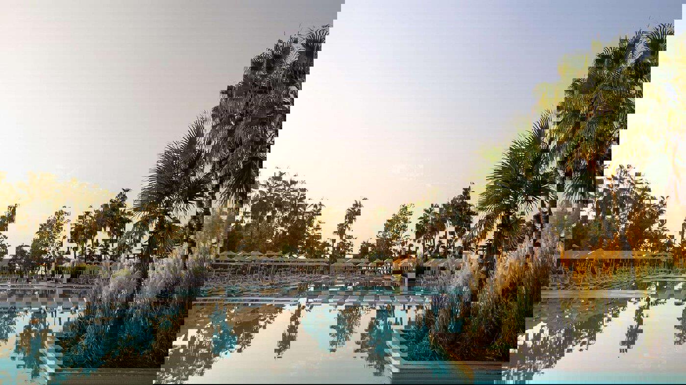 Paloma Orenda - Afbeelding 4