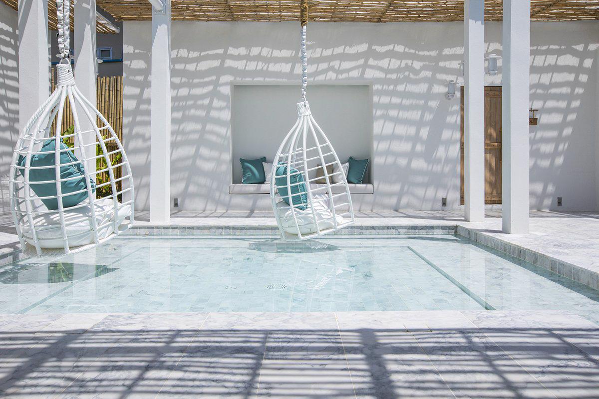 Cape Kudu - Afbeelding 4