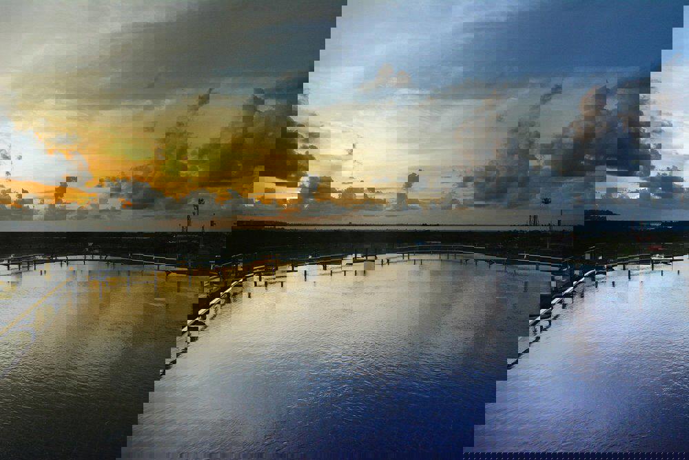 The Nest Hotel - Afbeelding 3