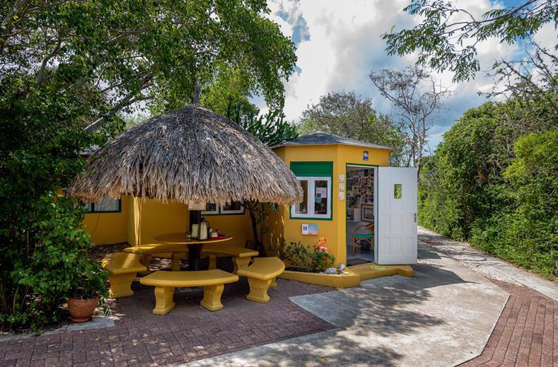 Dream of the Green Flamingo - Afbeelding 4