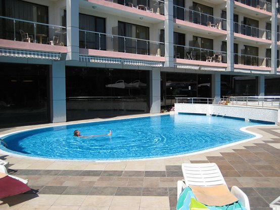 Flamingo - Afbeelding 3