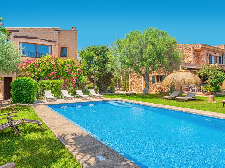 S Antigor Petit - Afbeelding 3