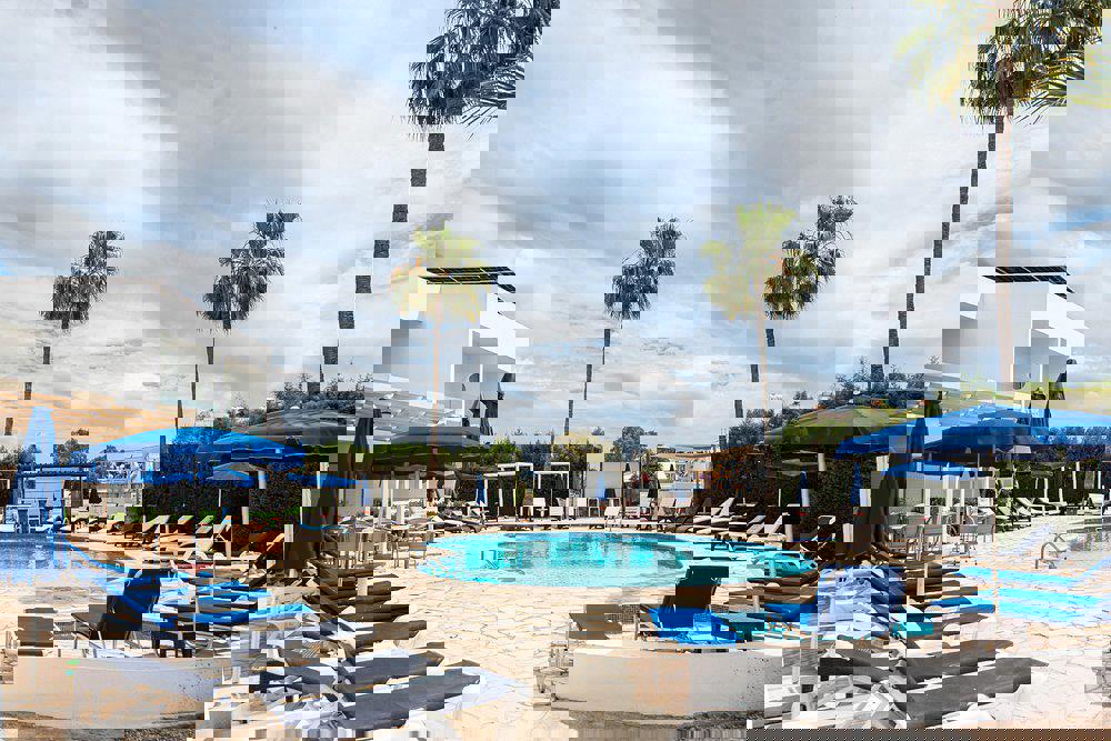 Bellini - Afbeelding 3