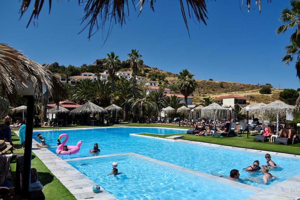 Clara - Afbeelding 4