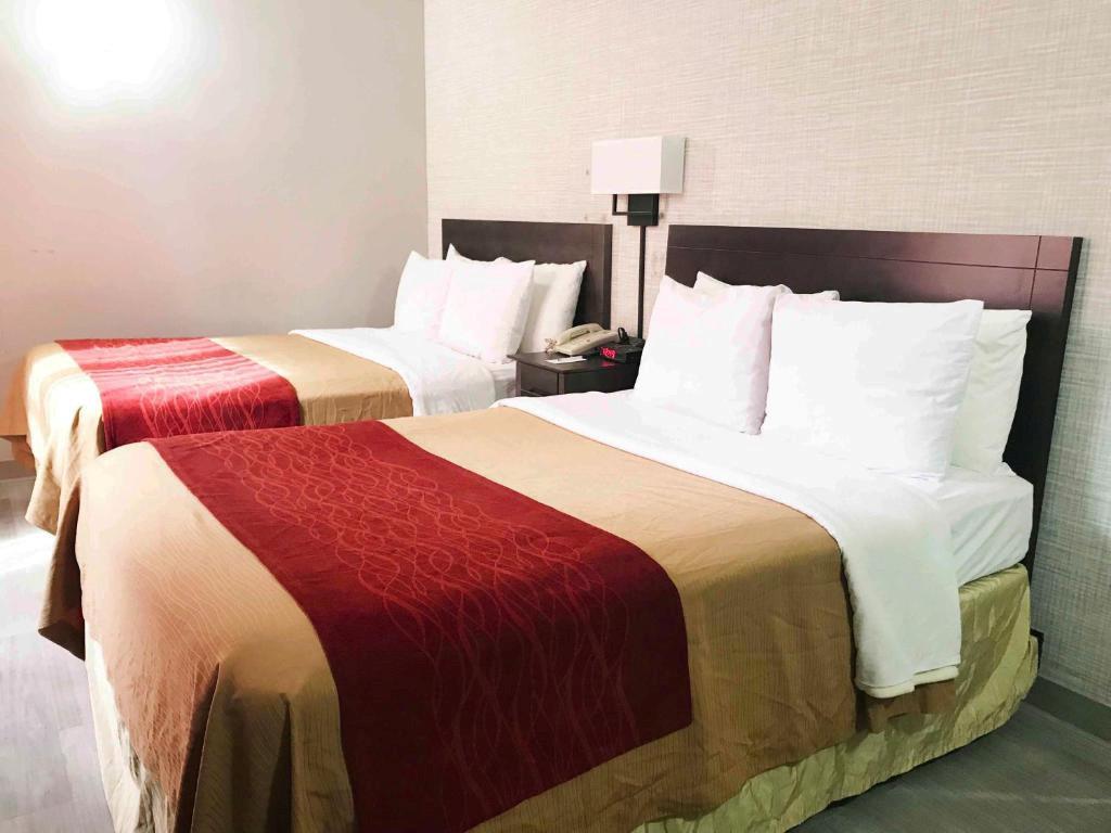 The Heritage - Afbeelding 2