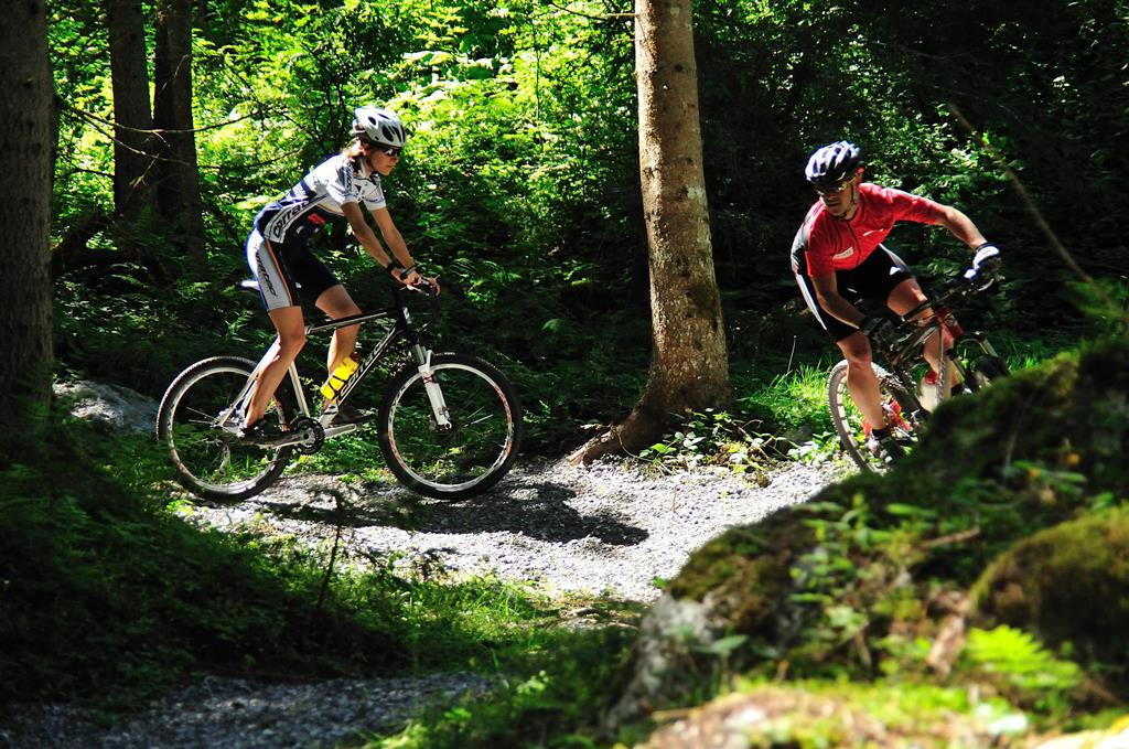 Jagdhof und Alpenfex - Afbeelding 3