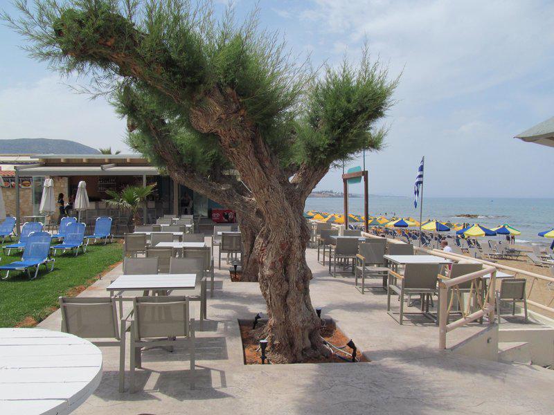 Malliotakis Beach - Afbeelding 2