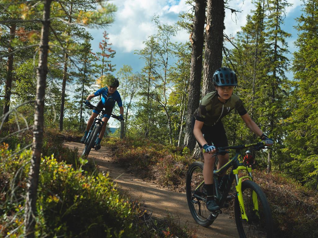 Timmerbyn - Afbeelding 2