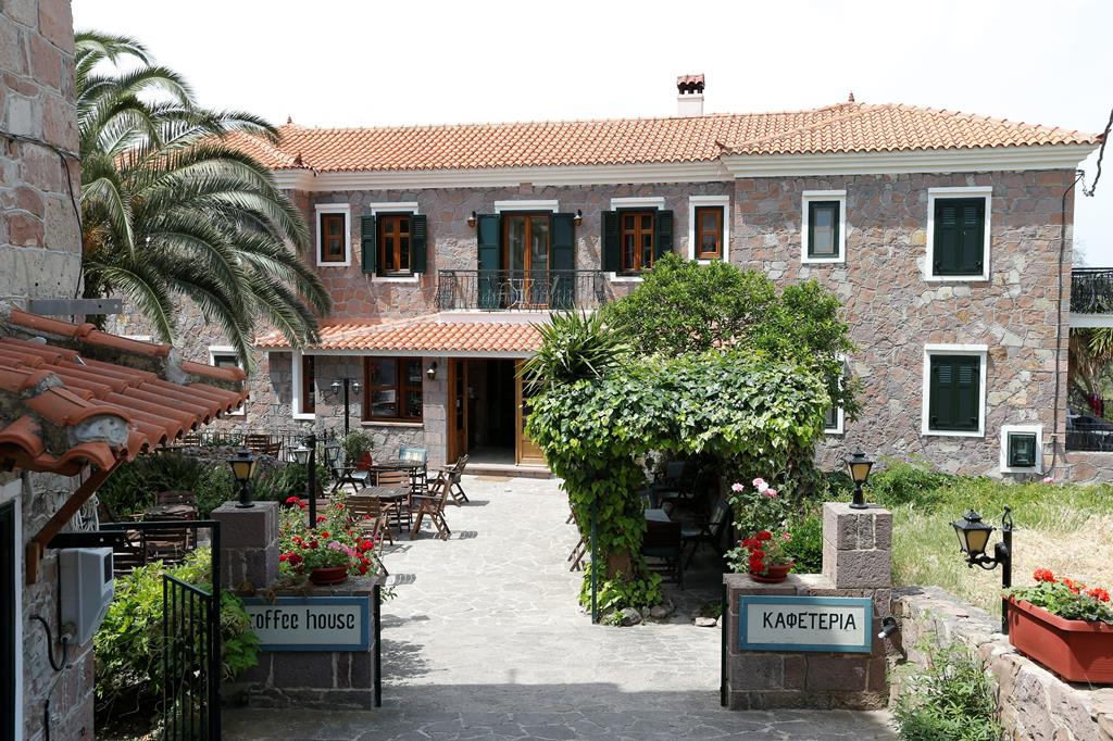 Adonis - Afbeelding 4