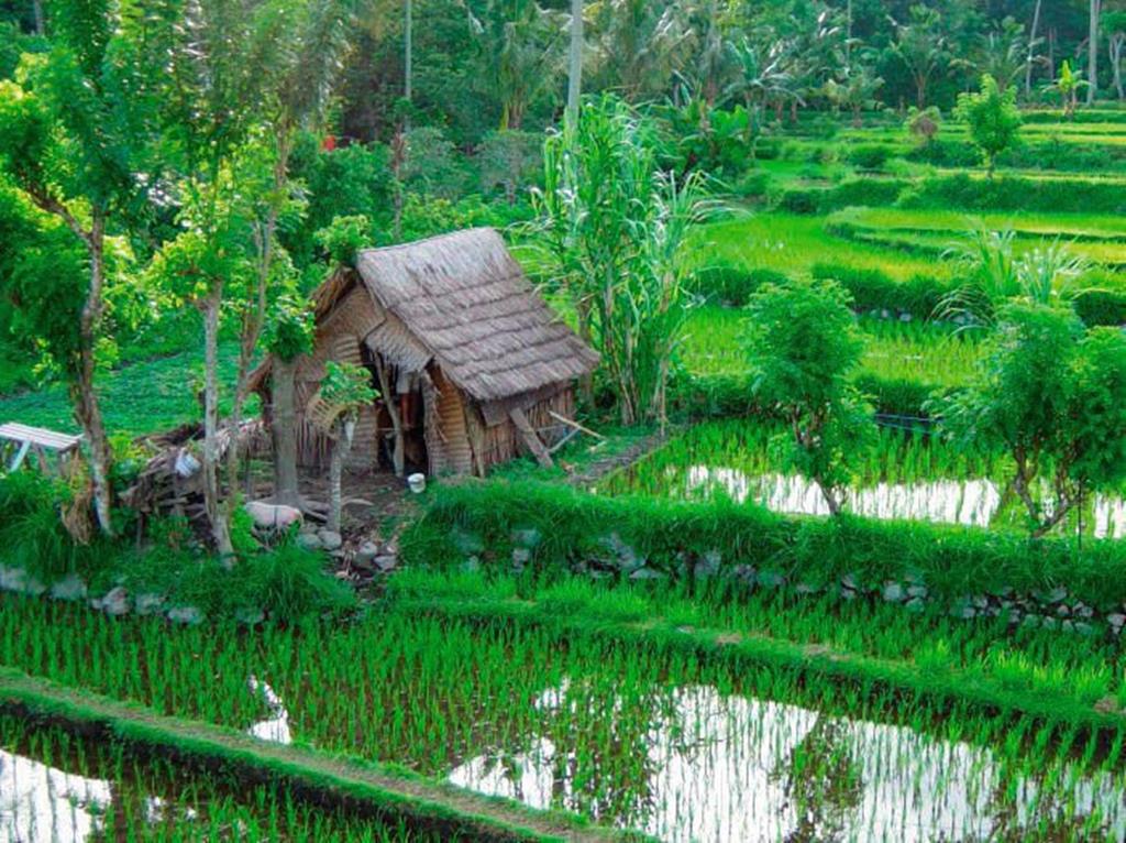 14-daagse rondreis Bali Compleet - Afbeelding 4