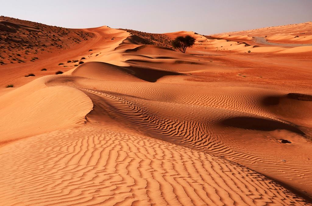 13-daagse rondreis Oman & Dubai - Afbeelding 3