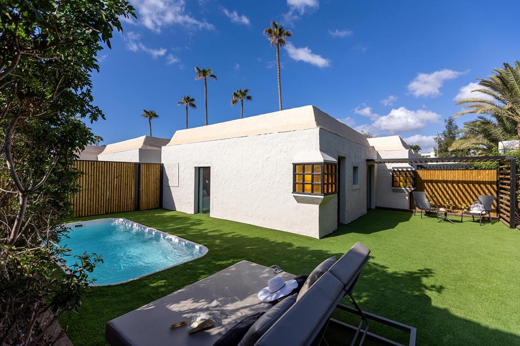 Tajaraste - Afbeelding 4