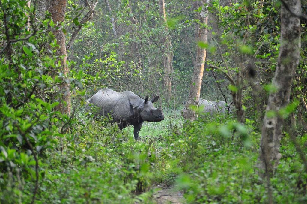 16-daagse rondreis Indrukwekkend Nepal - Afbeelding 3