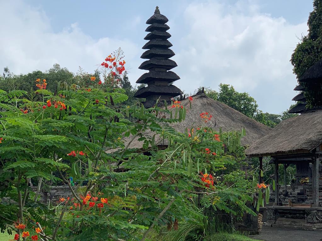 15-daagse familierondreis Bali - Afbeelding 4