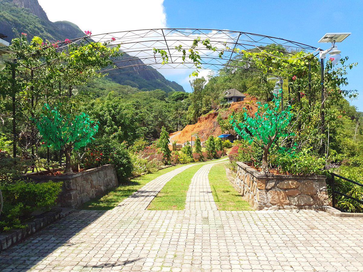 Blue Hill - Afbeelding 3