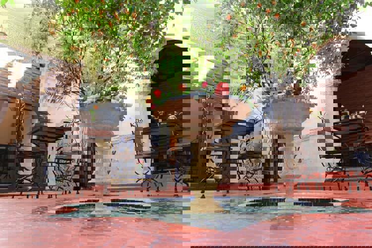 Riad Sidi Ayoub - Afbeelding 3