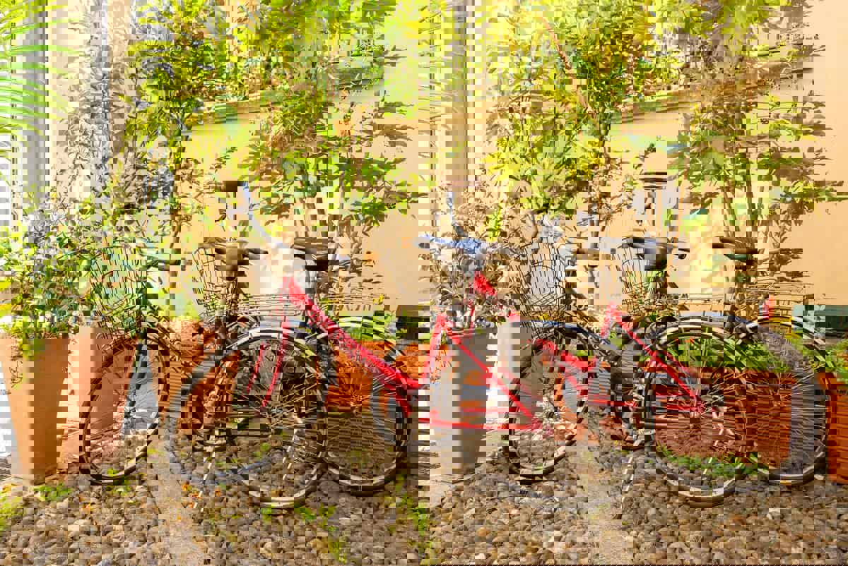 Regina - Afbeelding 4