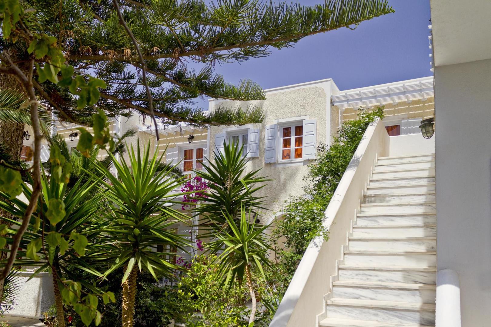 Dolphins - Afbeelding 4