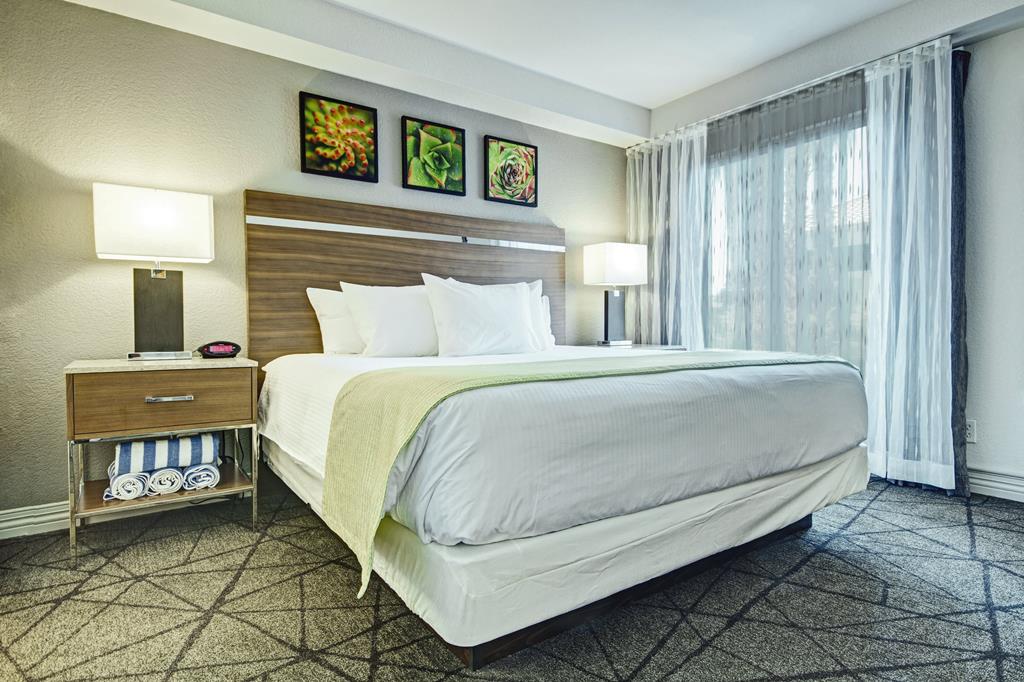 Desert Rose Resort - Afbeelding 2