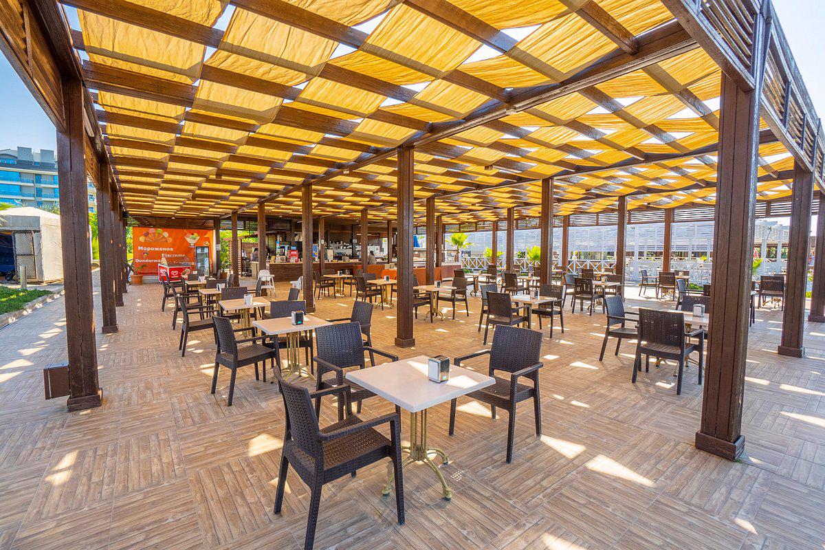 Monachus - Afbeelding 2