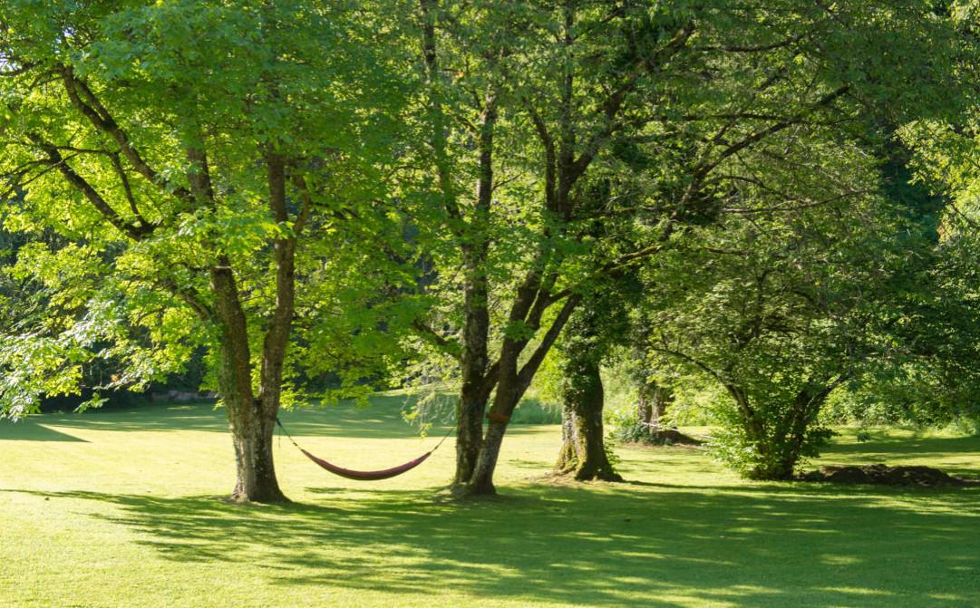 Schloss Ragaz - Afbeelding 4