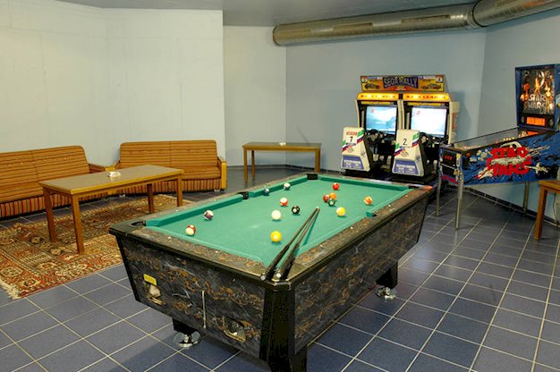 Edelweiss - Afbeelding 2