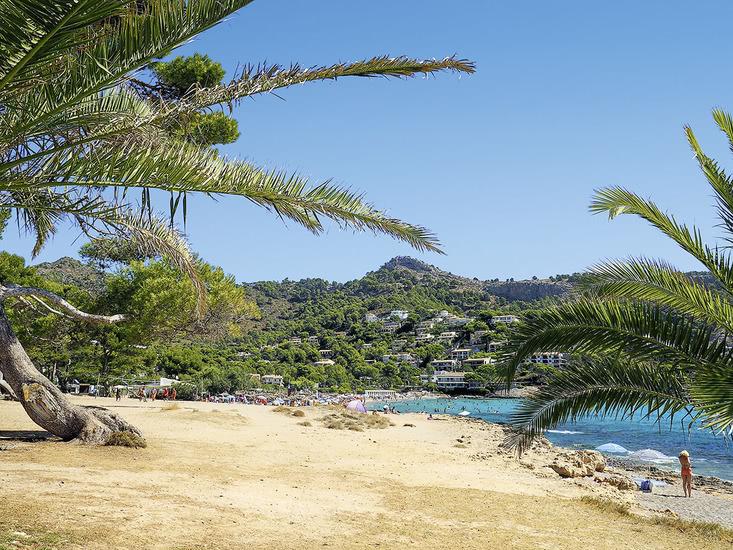 Massanet - Afbeelding 2