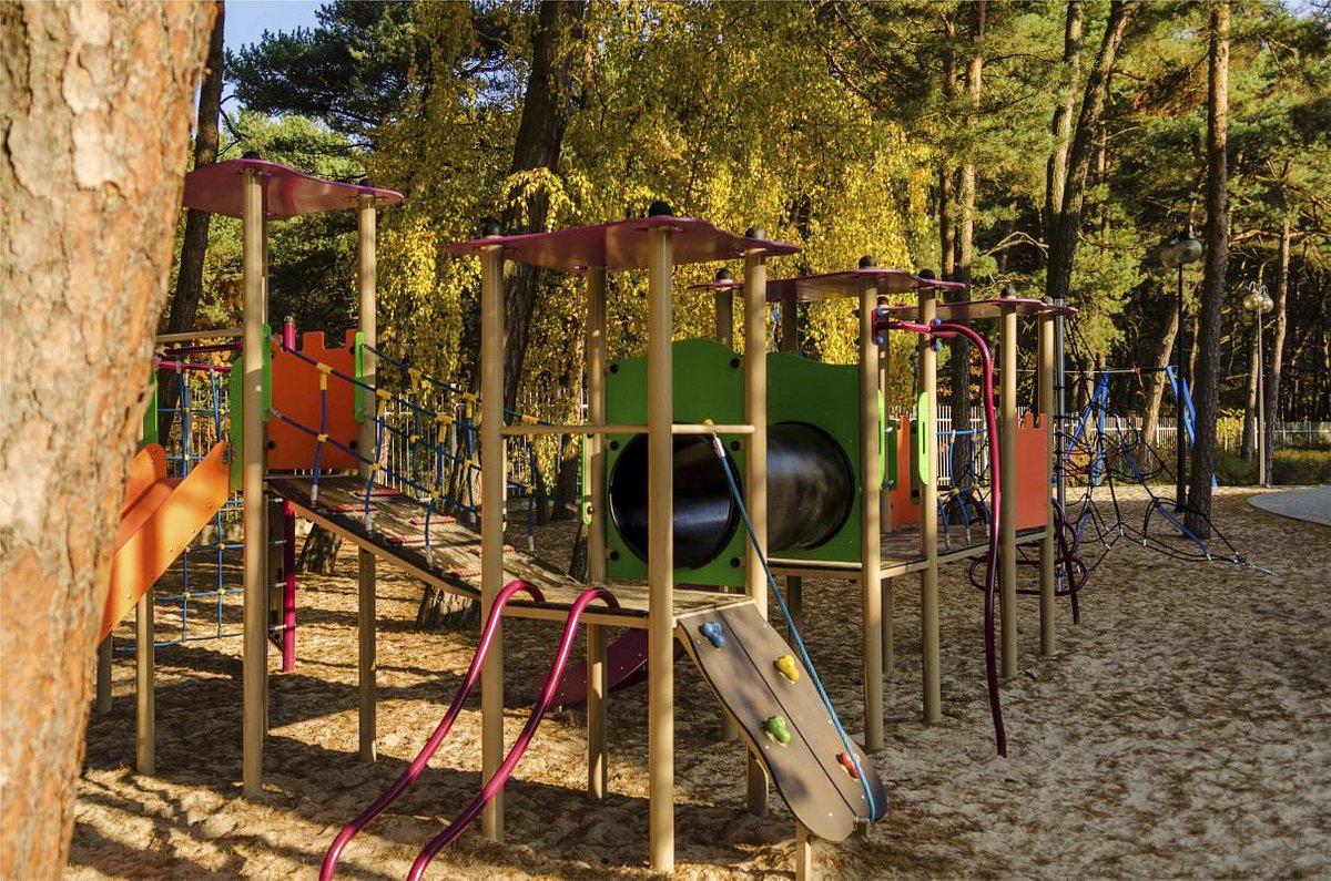 Senator - Afbeelding 4