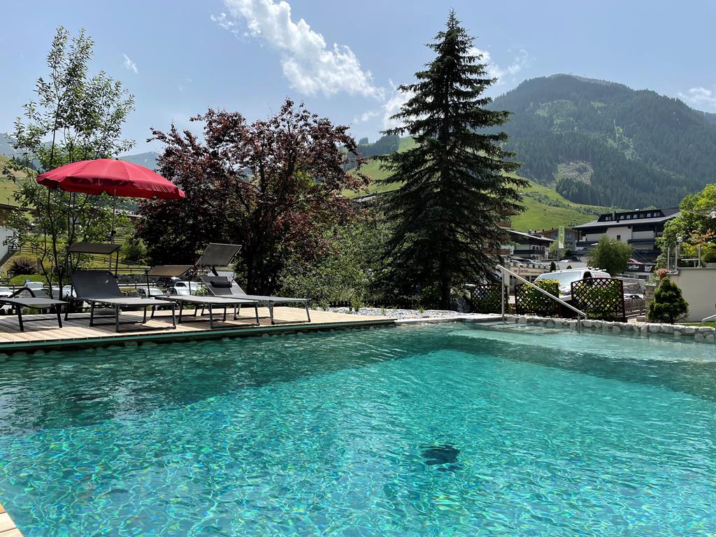 Alpenblick - Afbeelding 2