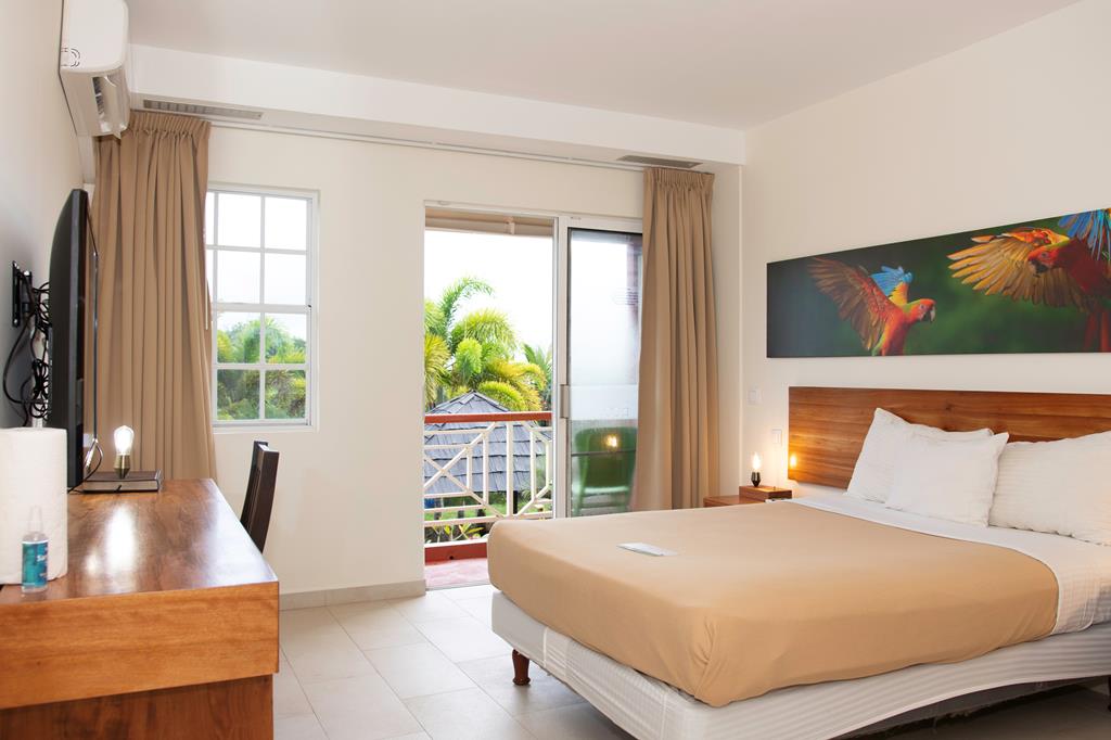 Eco Torarica - Afbeelding 2