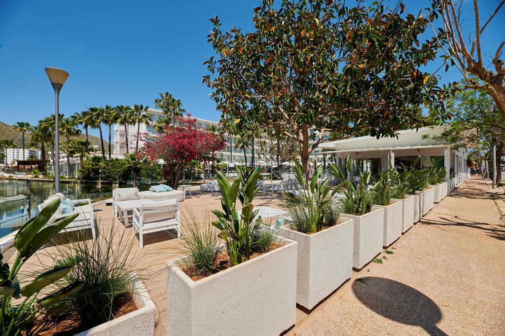 Alua Boccaccio - Afbeelding 3