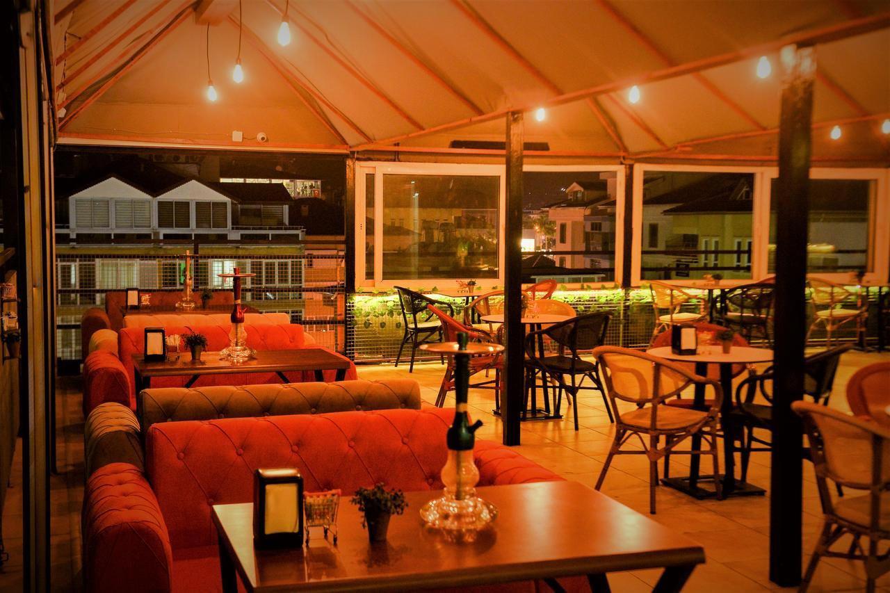 Melodi - Afbeelding 2