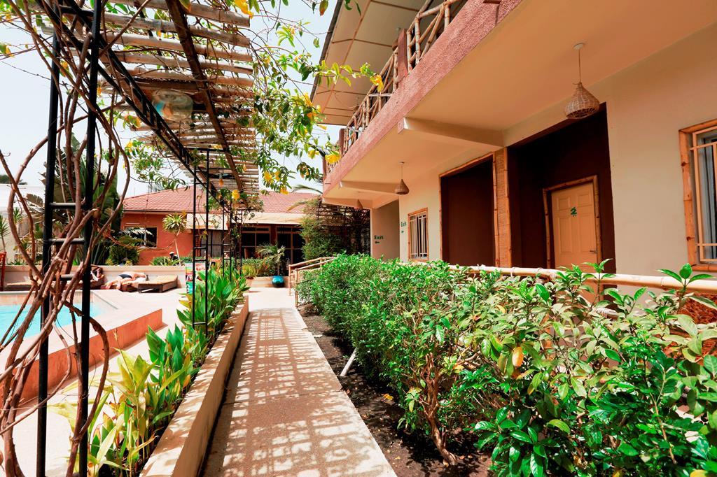 Bamboo Garden - Afbeelding 3