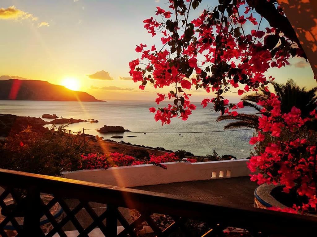 Amoopi Bay - Afbeelding 4