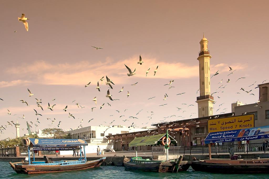 13-daagse rondreis Oman & Dubai - Afbeelding 4