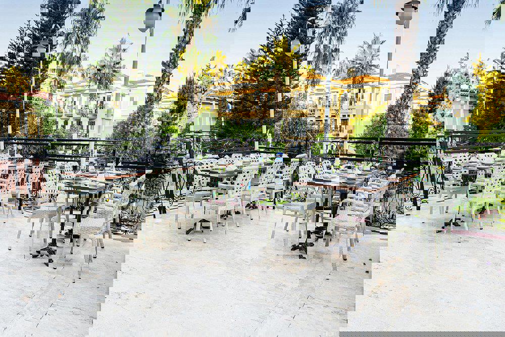 Club Phaselis Rose - Afbeelding 2