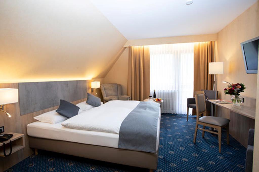 Friederike - Afbeelding 2