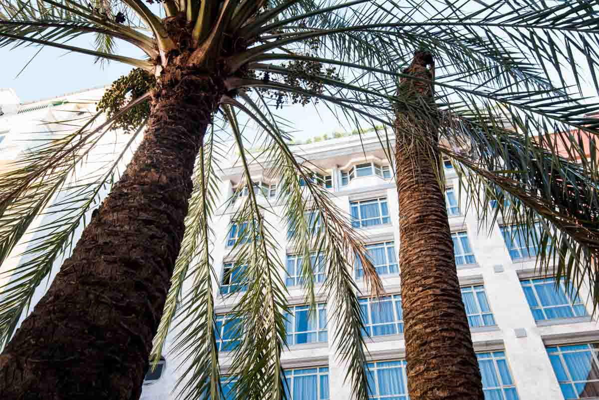 VP Madrono - Afbeelding 4